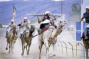 Jährliches Event: Kamelrennen in Alice Springs (Foto: NTTC/April Goodman)