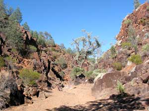 Eine von vielen möglichen Wanderungen in den Flinders Ranges führt in den Sacred Canyon