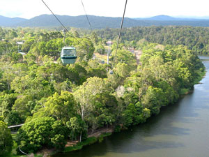 Die Skyrail schwebt über den Regenwald hinweg