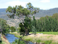 Landschaft am Tyenna River