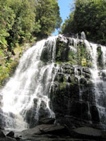 Lauschiges Plätzchen: Nelson Falls