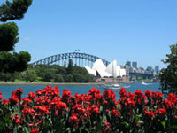 Blick auf die Wahrzeichen Sydneys: Oper und Harbour Bridge