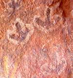 Anangu-Felszeichnungen am Uluru: hier eine Emu-Spur