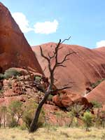 Am Mutitjulu Walk: Kurzer Spaziergang in einen Taleinschnitt des Uluru