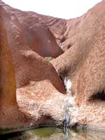 Von Regenwasser gespeist: Wasserloch am Uluru