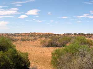 Nur wenig wächst im Outback Südaustraliens