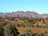 Eine der ältesten Landschaften der Welt: Flinders Ranges