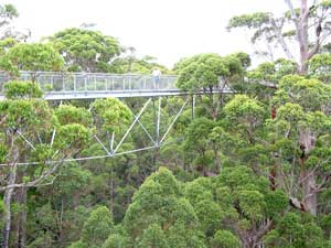 Tree Top Walk im Valley of the Giants: Walpole-Nornalup Nationalpark