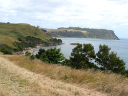 Blick auf die Küste vom Fossil Bluff