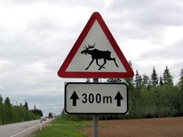 »Vorsicht Elche«-Schilder sieht man häufig an Estlands Straßen (Foto: Eichner-Ramm)