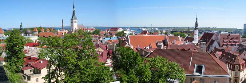 Blick von der Oberstadt über die Dächer Tallinns (Foto: Eichner-Ramm)