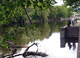 Angler am Emajogi-Fluss (Foto: Eichner-Ramm)