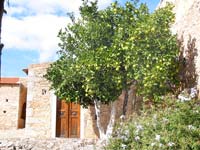 Steinhaus mit Zitronenbaum: bei Vlatos