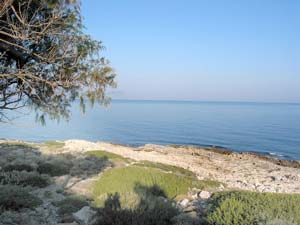 Nordküste zwischen Agia Pelagia und Panormos