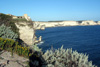 Steilküste bei Bonifacio im Süden Korsikas