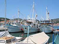 Fischerboote im Hafen von Vela Luka ( Insel Korcula)