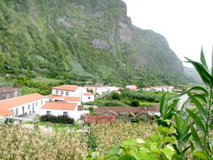 Gefährliche Lage an der Steilwand: Ponta da Fajã (Foto: Eichner-Ramm)
