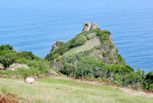 Landschaft bei Ponta Ruiva (Foto: Eichner-Ramm)