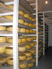 Alles Käse – Käsereibetrieb bei Manadas