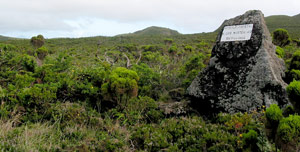 Markant: Ein großer Stein weist auf die Mistério da Praínha hin (Foto: Eichner-Ramm)