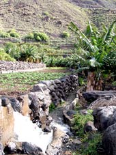 Bewässerungsgraben im Valle Gran Rey