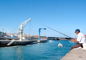 Heute geht es beschaulich zu im Hafen von Puerto de la Cruz