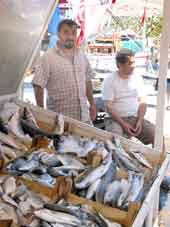 Fischverkäufer an der Hafenpromenade